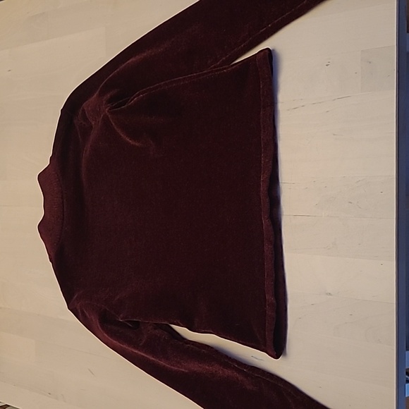 LIKE NEW Zara Thick Chenile Feel Deep Red Long Sleeved Mock Neck Sweater - Picture 9 of 11